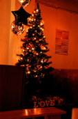 2008_christmas_4.jpg