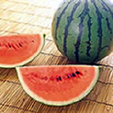 suica.jpg