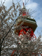 utunomiya_tower.jpg